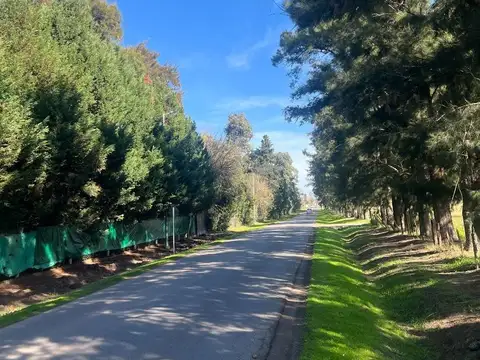 Terreno en Venta en Cortines, USD 55.200