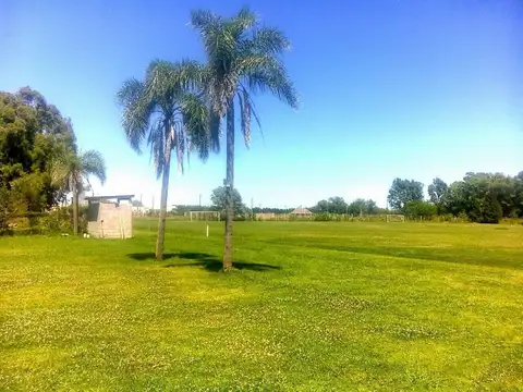 Terreno en Venta 175  mts Fondo