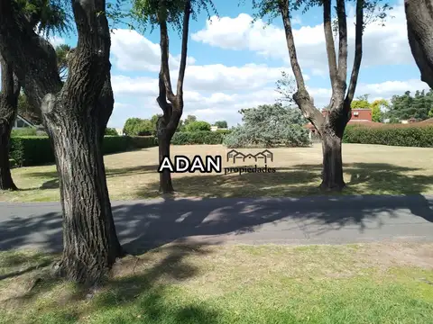 Terreno en Venta 50  mts Fondo