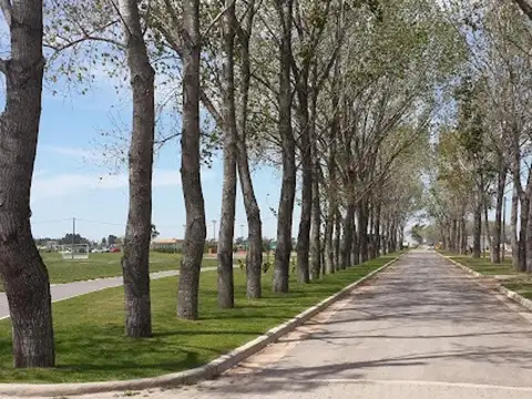 Terreno en Venta en La Alameda, USD 55.000