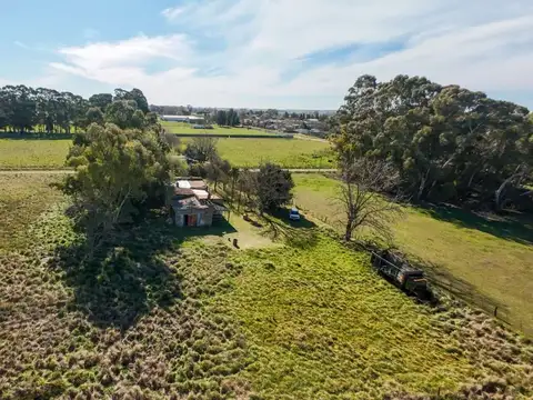 GRAN QUINTA DE 3,36 HECTÁREAS EN MARÍA IGNACIA