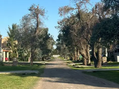 Terreno en Venta de 1381,0 m2