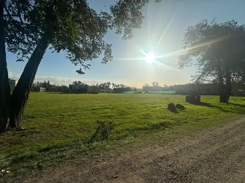 Terreno en Venta 46  mts Fondo