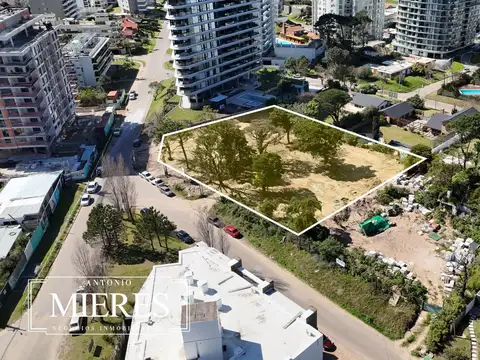 Venta lote para desarrollo - Punta del Este