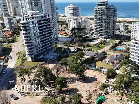 CARLOS VAZ FERREIRA 100
