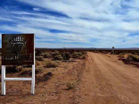 Lote de 1 ha en Pueblo Vaca Muerta - Senillosa, Neuquén