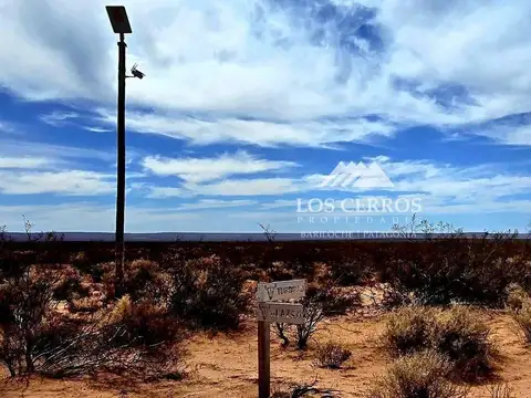 Terreno en Venta de 10000,0 m2