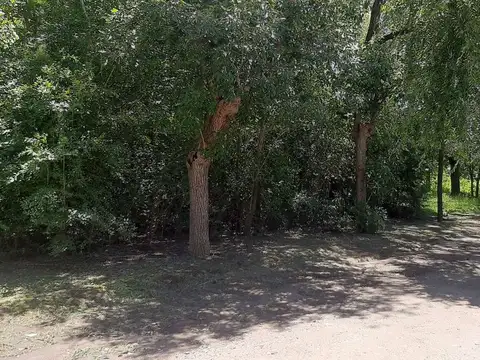 LOTE 6 MANZANA 15 COMUNA SAN IGNACIO CALAMUCHITA 