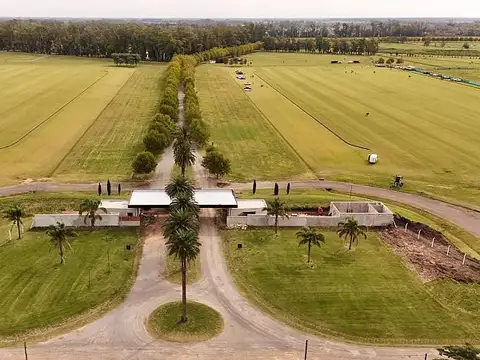 Technopolo Resort y Country Club