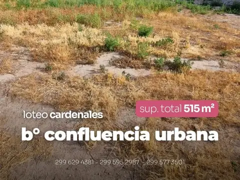 Terreno en Venta en Neuquen, Confluencia
