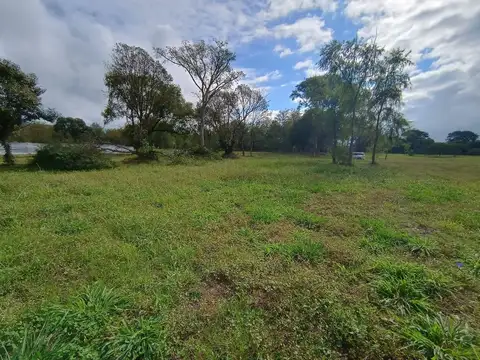 VENTA TERRENO LA ARBOLADA