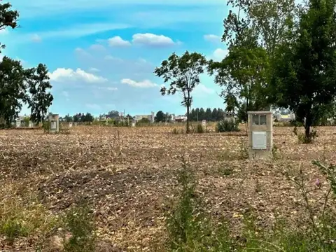 Cáceres