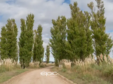 Terreno en Venta 66  mts Fondo