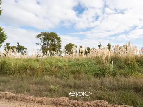 Terreno en Venta 44  mts Frente