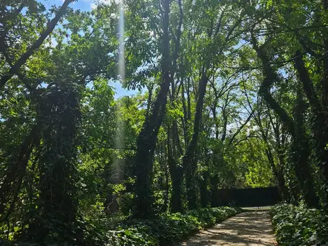 Domingo Marimon al 400