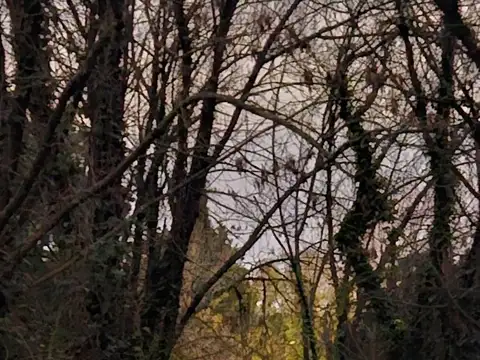 Terreno en Reserva Natural Links Erratchu - Ezeiza