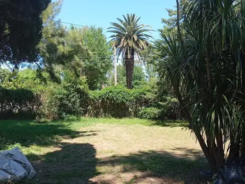 LOTE VENTA AEJANDRO KORN  500 mts2 (P20)