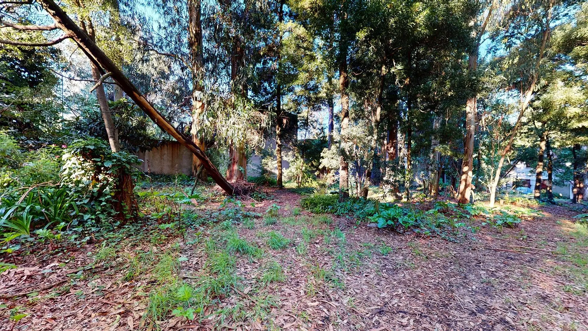 VENTA DOS lotes en Bosque Peralta Ramos y casa