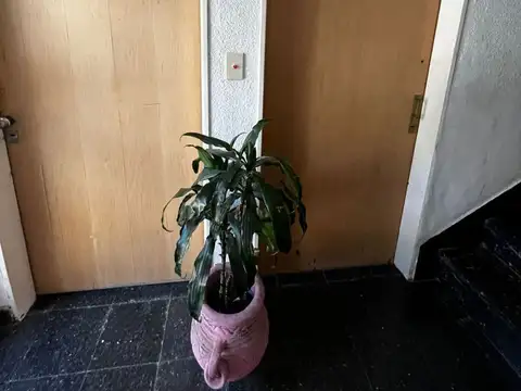 BARRIO UPCN , Piso PB