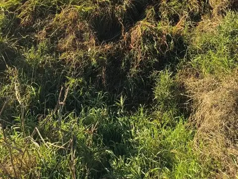 Terreno en Venta en Cavour, Las Colonias