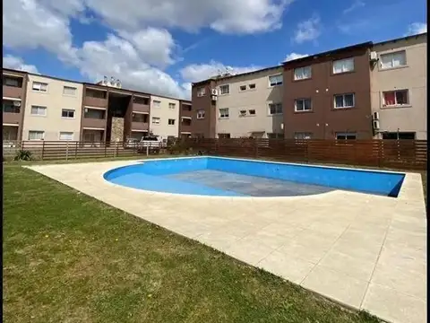 Casuarinas Premium