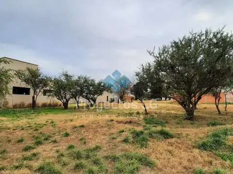 VENTA-LOTES 455m2-SINSACATE-CON ESCRITURA