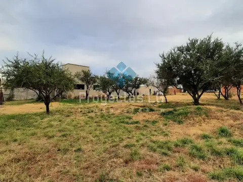 VENTA-LOTES 455m2-SINSACATE-CON ESCRITURA