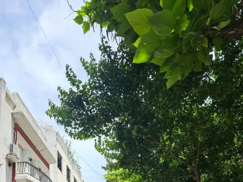 Departamento en Alquiler 66 años