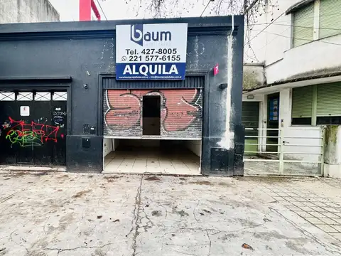 Local comercial - Zona 8 y 42
