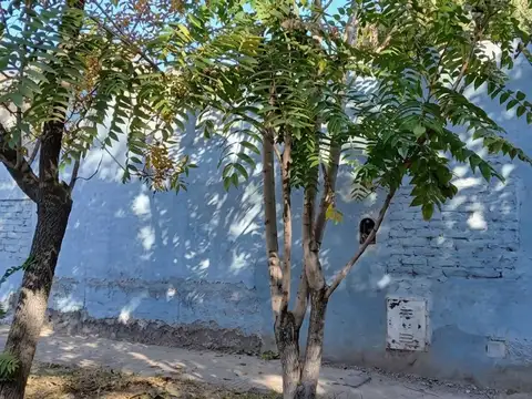 Tropero Sosa 500