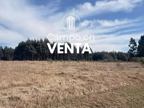VENDO. Campo en Colonia Yeruá. ER.