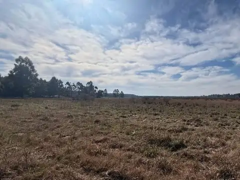 Colonia Yeruá 100