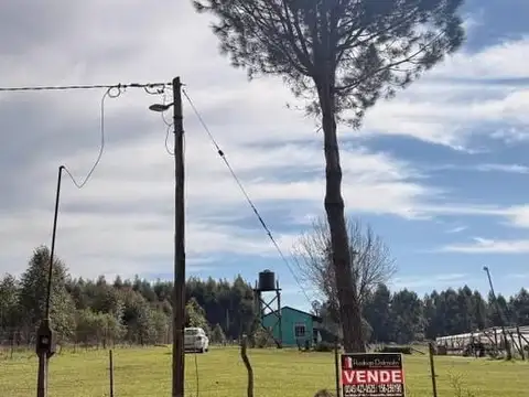 Colonia Yeruá 100