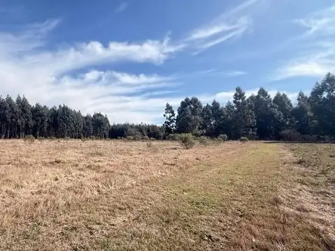 Terreno en Venta en Colonia Yerua, USD 61.000
