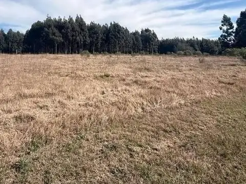 Terreno en Venta de 16000,0 m2