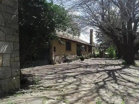 Mar del Plata - 94 has. Agricola