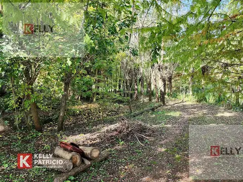 Terreno en Venta de 116286,0 m2