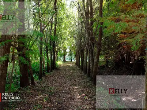 Venta de Quinta con 90 mts de costa sobre Rio Paranacito - Isla 9