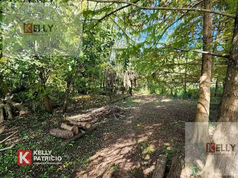 Venta de Quinta con 90 mts de costa sobre Rio Paranacito - Isla 9