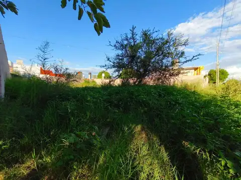 Terreno en Venta de 300,0 m2