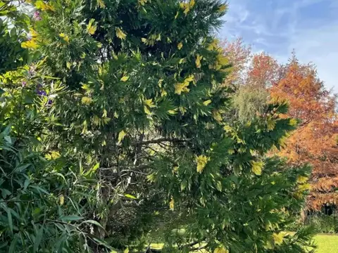 Terreno en Venta de 832,0 m2