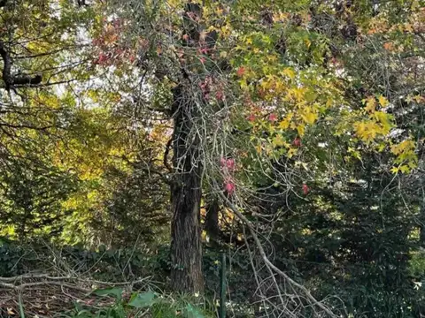 Terreno en Venta en Villa Rosa, USD 85.000