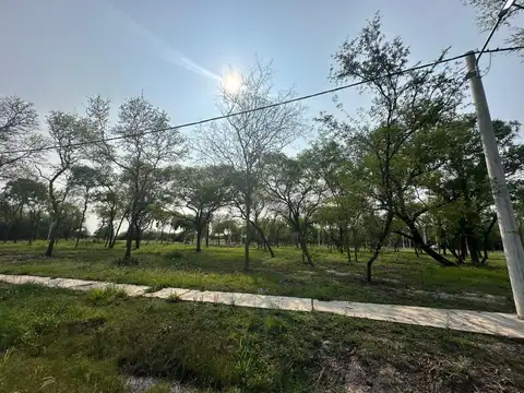 Avenida Sarmiento 4500