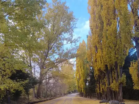 Casa 5 ambientes con 1 baño