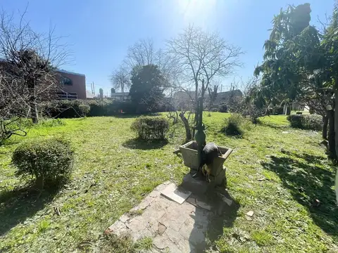 Las Retamas 255