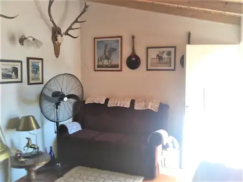 Ameghino 900
