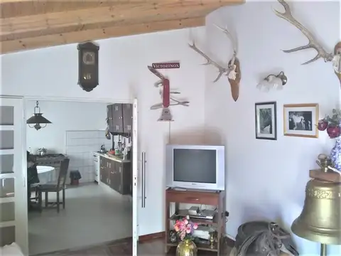 Ameghino 900
