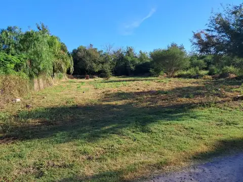Camino vecinal a Ruta Nacional N°9 100