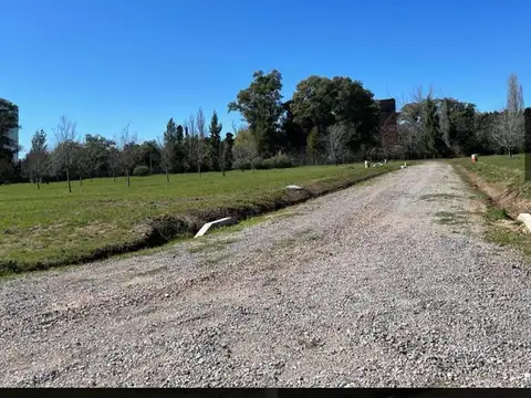 Av Lorenzo Casey Al 2000