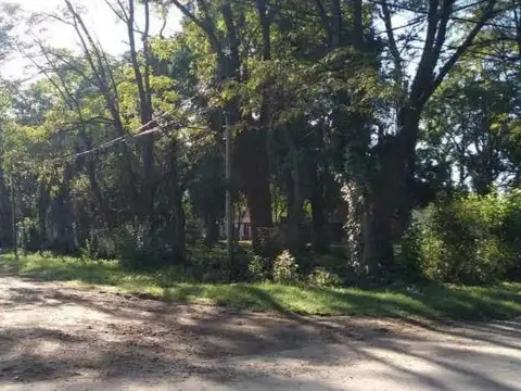 Vicente López y Polero